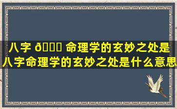 八字 🍁 命理学的玄妙之处是「八字命理学的玄妙之处是什么意思」